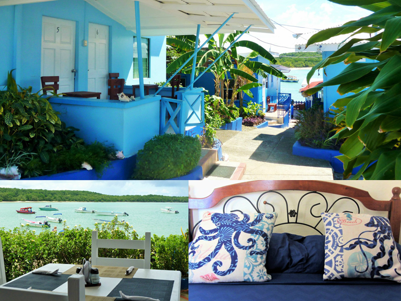 Miller's Guesthouse