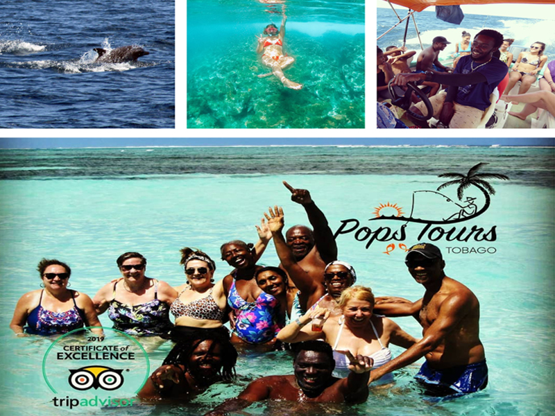 Pops Tours
