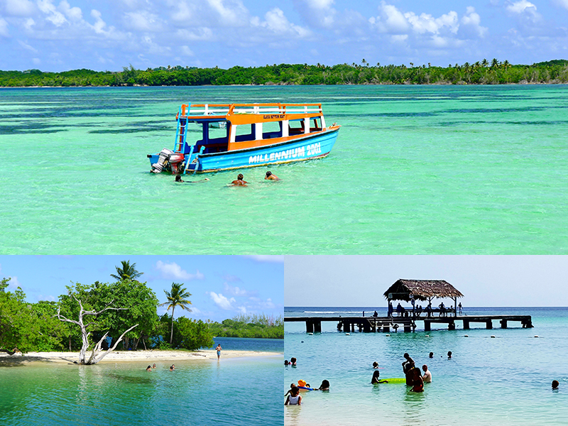 Teds Tours